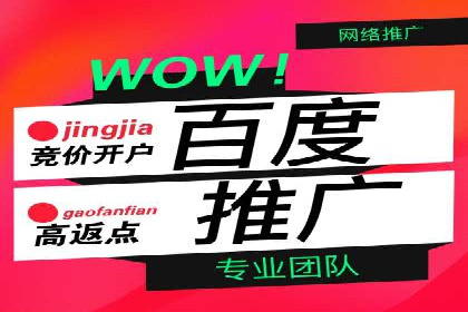 竞价推广实战案例：揭秘优化策略
